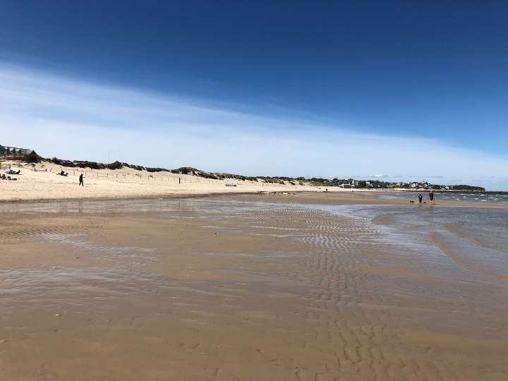 Mass. beach closures: 60 beaches are closed on Wednesday, Aug. 20