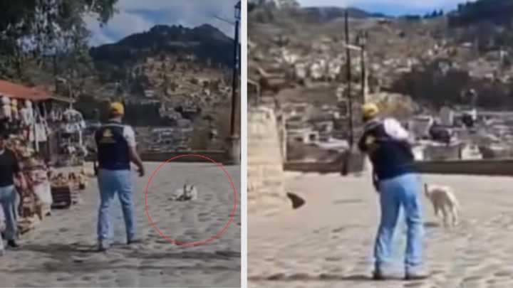 MALTRATO ANIMAL EN CAJAMARCA: Trabajador municipal agrede a perrito callejero