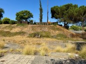 La Mesans celebrate canceled plans for battery storage facility
