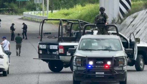 Tres semanas de terror a manos de la Mafia Veracruzana