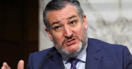 Ted Cruz Puts Bad MAGA Podcast Stats on Blast