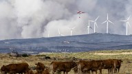 Un incendio sin control en Ávila obliga a evacuar a los vecinos y cortar la línea Ávila