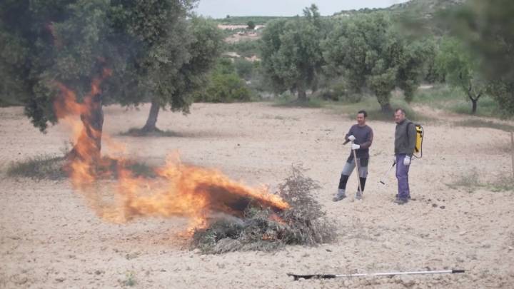 Último día de alerta roja plus por incendios forestales en Aragón