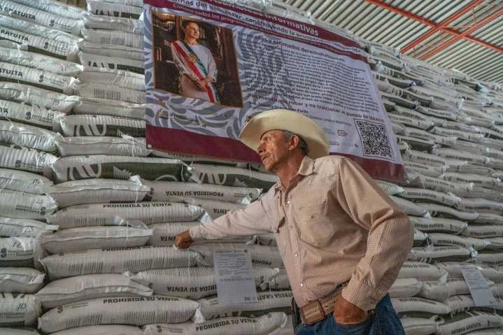 Fertilizantes para el Bienestar llega a más de 55 mil productoras y productores en Zacatecas