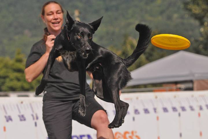 PHOTOS: Flying high at the 153rd Chilliwack Fair