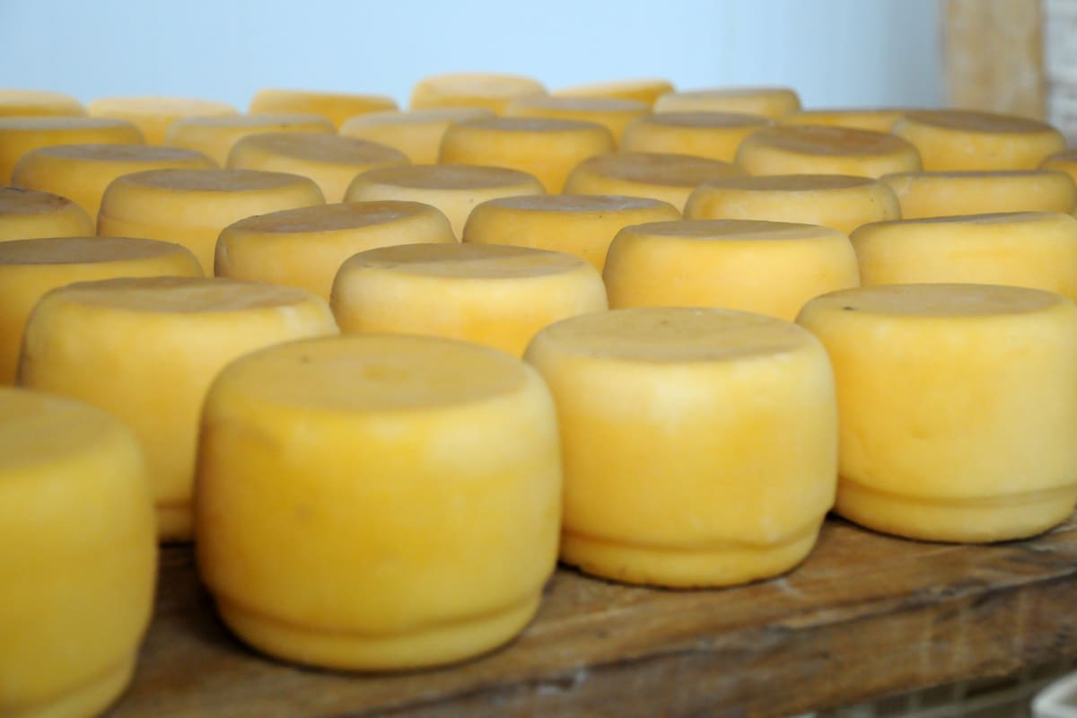 Síntomas graves. Alertan por brote de listeriosis: identifican un queso como fuente de contagio