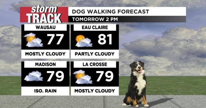 Drier tomorrow with a couple quick rain chances
