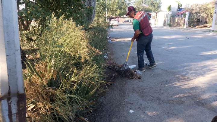Trabaja Gobierno de Reynosa en saneamiento de Villa Esmeralda