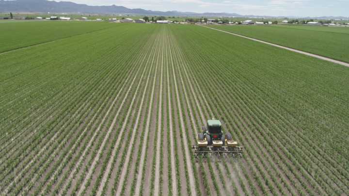 Invitan a productores agropecuarios a aprovechar los apoyos y seguros disponibles