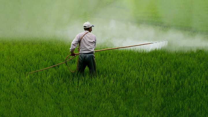 México prohibirá sustancias químicas nocivas para la salud