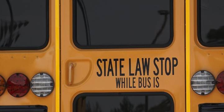 Road safety urged as school buses hit roads soon