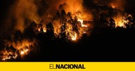 La Xunta de Galicia tiene sin adjudicar 3 millones de euros en prevención de incendios