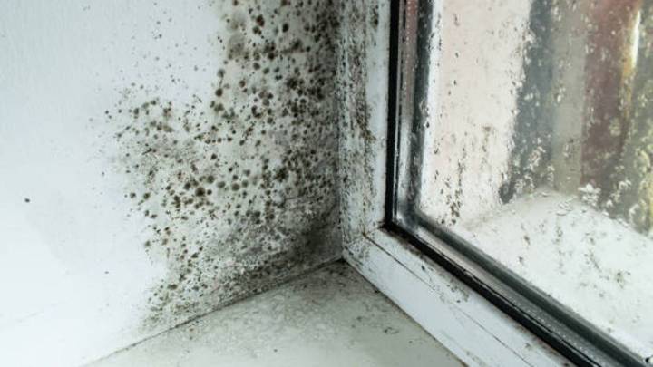 Cómo quitar el moho negro de la silicona de la cocina