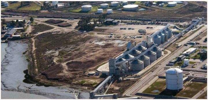 Proyectan exportaciones del campo por más de US$ 10.000 millones en el último cuatrimestre del año