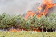 Última hora de los incendios en España, en directo | El fuego entre Zamora y Ourense sigue descontrolado y obliga a desalojar a 1.700 personas