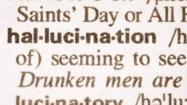'Skibidi,' 'Tradwife,' and 6,000 Other New Words Are in the Dictionary Now