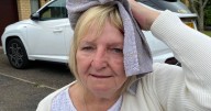 Woman rushed to hospital after seagull attack