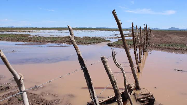 Se mantienen afectaciones por sequía en 63 municipios de Sonora