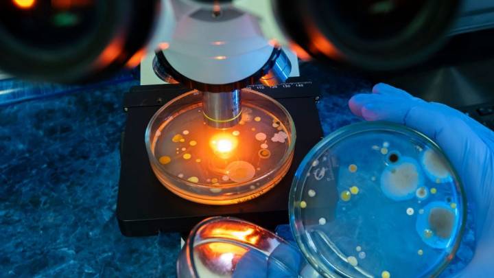 La bacteria "come carne" se encuentra en estos lugares: lo que debes saber para protegerte
