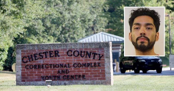 BMW owner stabbed to death in his own driveway after confronting suspected car thief: Cops