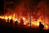 Un ola de incendios amenaza miles de hogares en la costa oeste de EE.UU.