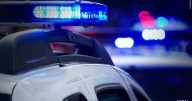 Investigators probe deaths of 21 dogs at upstate New York boarding facility