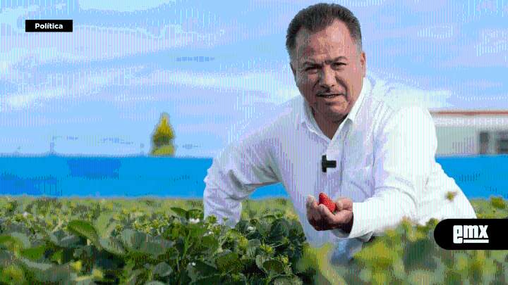 RAYMUNDO CARRILLO HUERTA…consolidaría proyecto de secadora de chile
