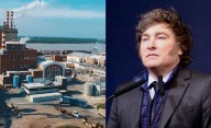 Tras perder $170.000 millones, Celulosa se presentó en concurso de acreedores