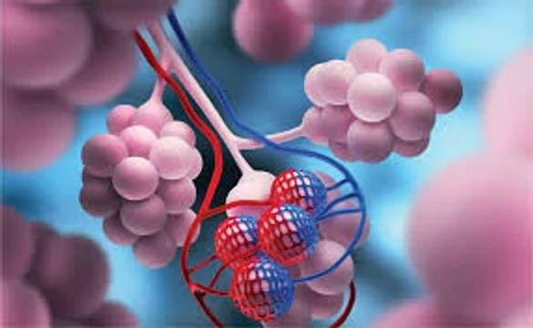 La Leucemia Linfocítica Crónica