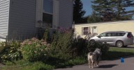 Trailer parks in Belfast seeing increased rent