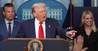 Trump threatens to fire US Fed Governor Lisa Cook