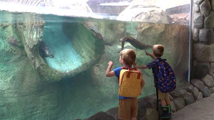 A La Carte at the Zoo 2025 brings 4 days of food, music and animals to the Milwaukee County Zoo