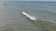 Check it out! Clear water in Galveston