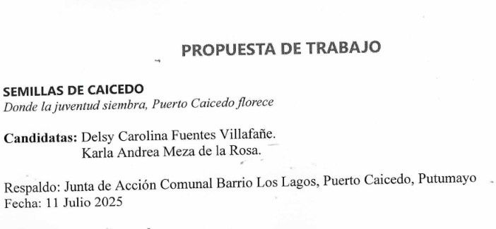 Presentación de la Propuesta de Los Lagos