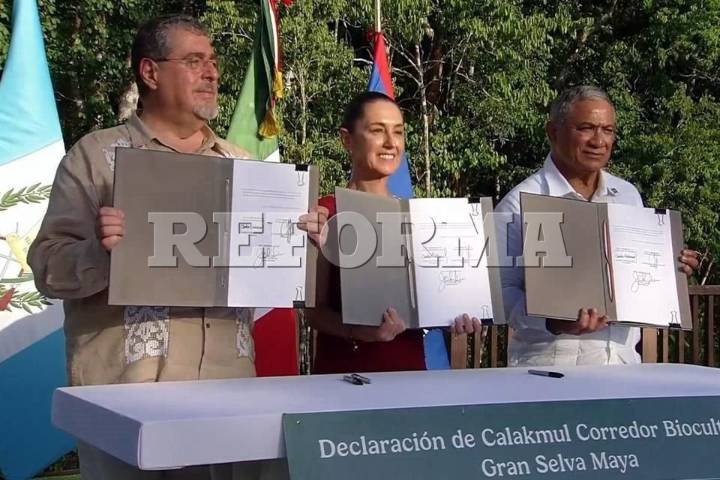 Pactan México, Guatemala  y Belice protección de Selva Maya