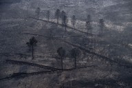 Un paisaje desolador: los incendios forestales arrasan varias regiones de España