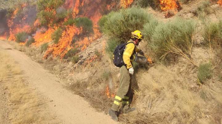 El incendio de Cáceres avanza en Salamanca: despliegue aéreo y terrestre contra el fuego de la Sierra de Béjar
