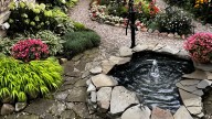 Welcome Mat: Homestyle Garden Photo Contest voting opens Tuesday