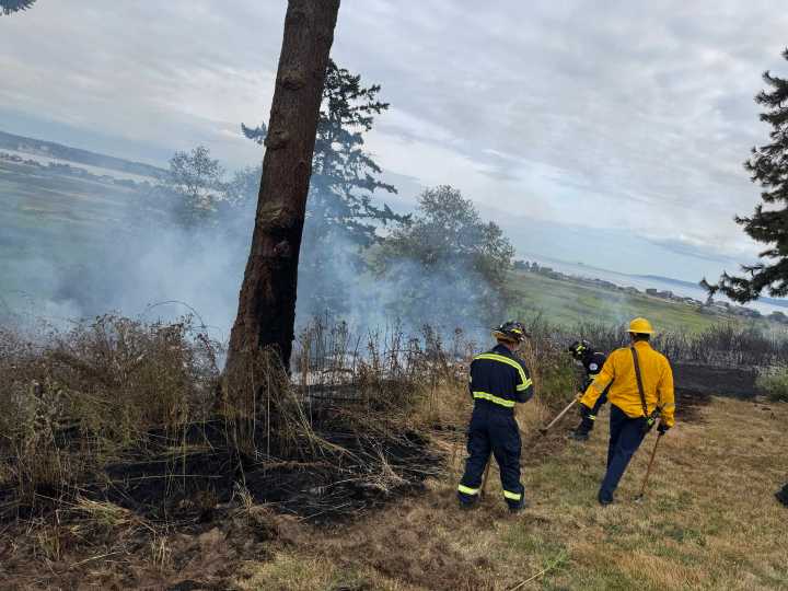 Brush fire scorches hillside in Freeland