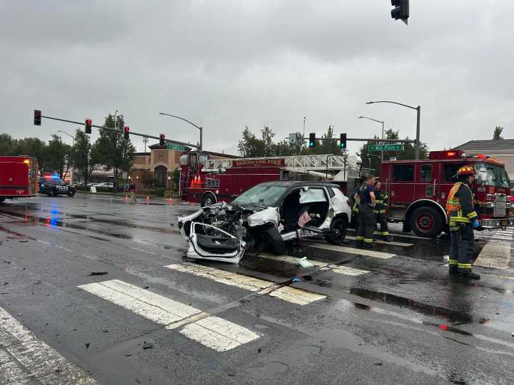 Suspect in hit-and-run dies by suicide after fleeing the east Vancouver crash scene, say police Updated 49 mins ago
