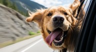 Google Gemini’s AI Photo Editing Is Next-Level — Here’s What It Can Really Do