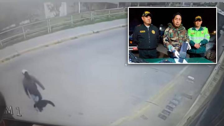 Capturan a integrantes de la organización criminal extorsionadora Los Pulpos del Sur