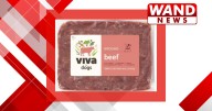 Popular raw dog, cat food sold in Illinois, other states recalled for Salmonella, Listeria