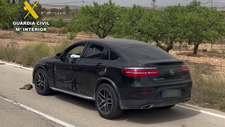 Arrojan a un gato a la carretera desde un coche de alta gama y lo atropellan en Murcia