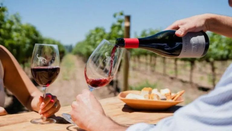 NEUQUÉN | Bodegas, enólogos y autoridades celebraron al Pinot Noir