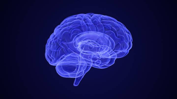 ClearPoint Neuro Stock: Biopharma Momentum Continues To Build (NASDAQ:CLPT)