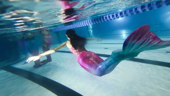 Mermaiding: the underwater subculture on the rise