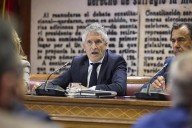 Marlaska desdeña las pulseras para pirómanos del PP
