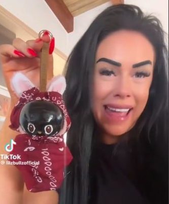 TikTok Influencer Faces Backlash Over Custom Labubu Reveal