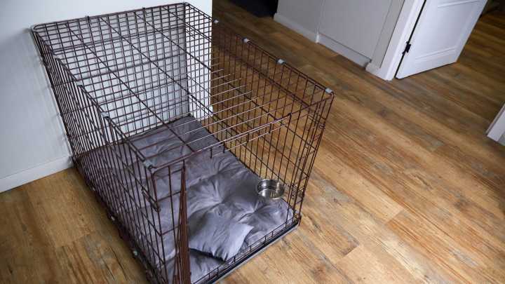 8 Genius Ways To Repurpose An Old Dog Crate In Your Home & Garden